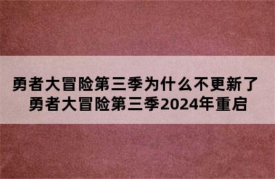 勇者大冒险第三季为什么不更新了 勇者大冒险第三季2024年重启